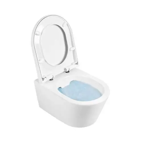 PACK Cuvette suspendue 52cm, Sans Brides, Abattant Freins de Chute Déclipsable, Charnières Inox) - URBY (Sanindusa)